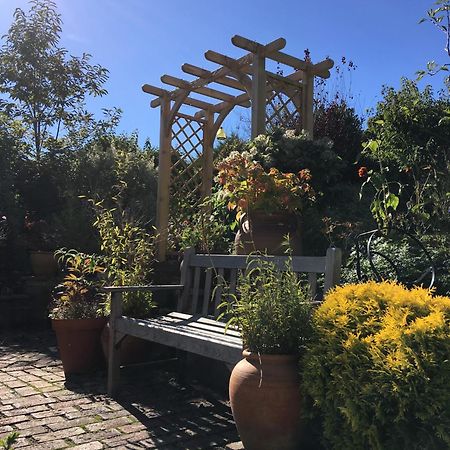 Bed and Breakfast Anne'S House Hastings Exteriér fotografie